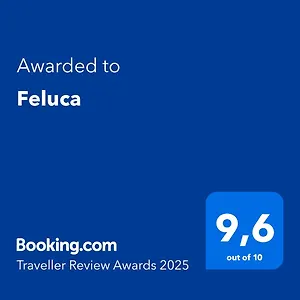 Feluca Luino